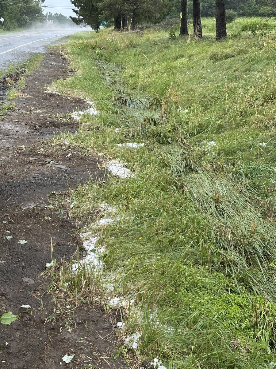 Joshua Nickerson tweet media