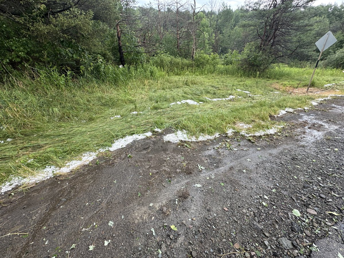 Joshua Nickerson tweet media