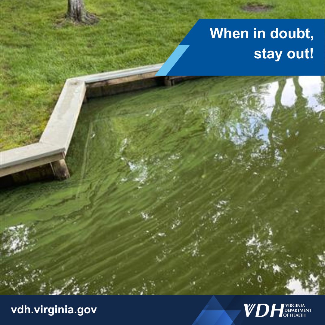 Lake Anna has some reports of some algal blooms. Blooms are common in the summer, and not all are harmful. Currently no swimming advisory is in place at Lake Anna, but when in doubt, stay out. Check SwimHealthyVA.com for updates.