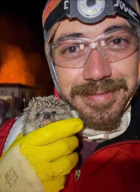 İzmir’de, yangından kurtarılan hayvanlar…