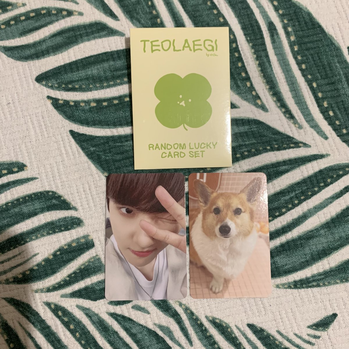 kubra (@bbhccdrop) on Twitter photo baekhyun teolaegi random lucky card set b versiyon satış
dm'den fiyat teklifi yapabilirsiniz
<a href="/exosatisturkiye/">EXO Satış/Takas Tr</a> <a href="/EXOtakasTr/">🌸Exo Albüm Photocard Satış & Takas</a> <a href="/ExoEribuysell/">Eri Satış/Takas</a> baekhyun teolaegi random lucky card set b versiyon satış
dm'den fiyat teklifi yapabilirsiniz
<a href="/exosatisturkiye/">EXO Satış/Takas Tr</a> <a href="/EXOtakasTr/">🌸Exo Albüm Photocard Satış & Takas</a> <a href="/ExoEribuysell/">Eri Satış/Takas</a>