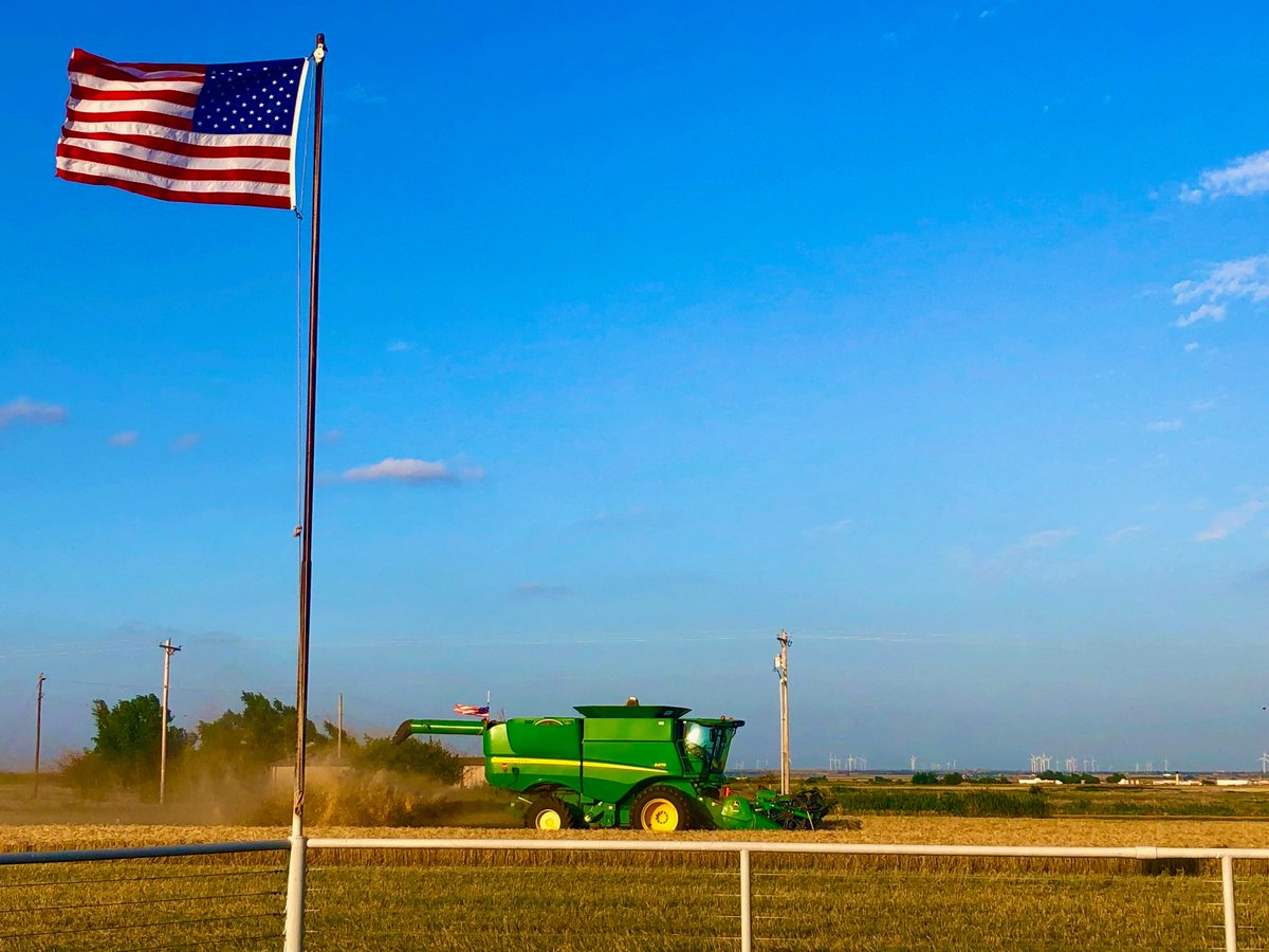OSU_smallgrains's tweet image. Oklahoma wheat harvest pushes ahead in Central & Northern areas that missed rain. But wet fields slow progress along I-35.
OWC reports harvest 82% complete.
📖 Read the full #WheatHarvest25 update here: osuwheat.com