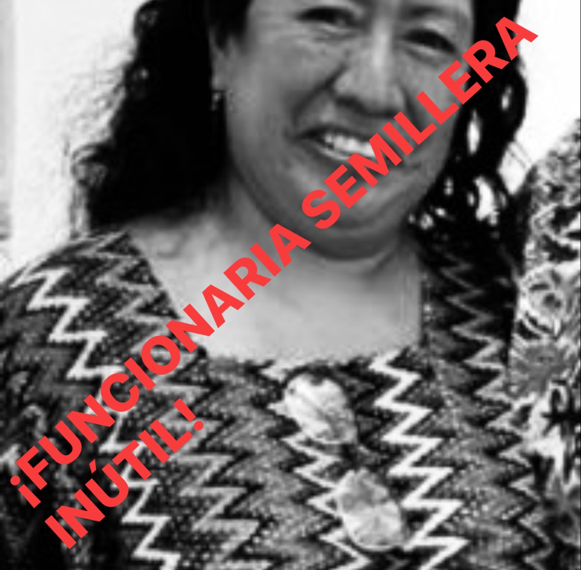 El idioma oficial en Guatemala es el español según el Artículo 143 de la Constitución, que califica a las lenguas solamente como patrimonio cultural.
Bertha Zapeta hizo en el Congreso un grotesco circo de discriminación, ante su crasa incapacidad para responder como funcionaria.