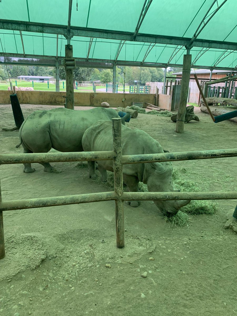 oldmachar's tweet image. 3. Blair Drummond Safari Park #OldmacharActivitiesWeek2025