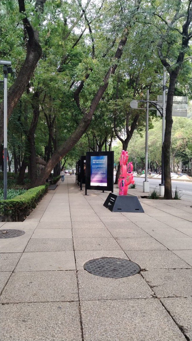Que bonito ver las calles del Centro Histórico así, libres de vendedores ambulantes, y contaminación visual, se nota la mano y el trabajo de <a href="/AlessandraRdlv/">Alessandra Rojo de la Vega</a> que...

Paso de esto             ////              Ah esto