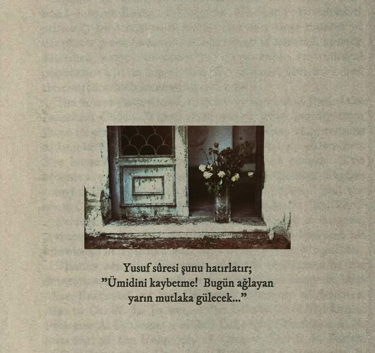 Ömer Faruk Yüce (@omerfarkyuce) on Twitter photo 