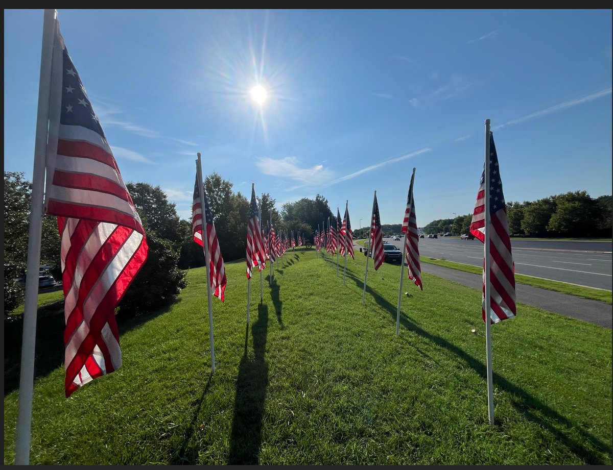 LakeRidgeRotary's tweet photo. The flags are up for the Fourth of July!🇺🇸 https://t.co/FaAe5kexLW