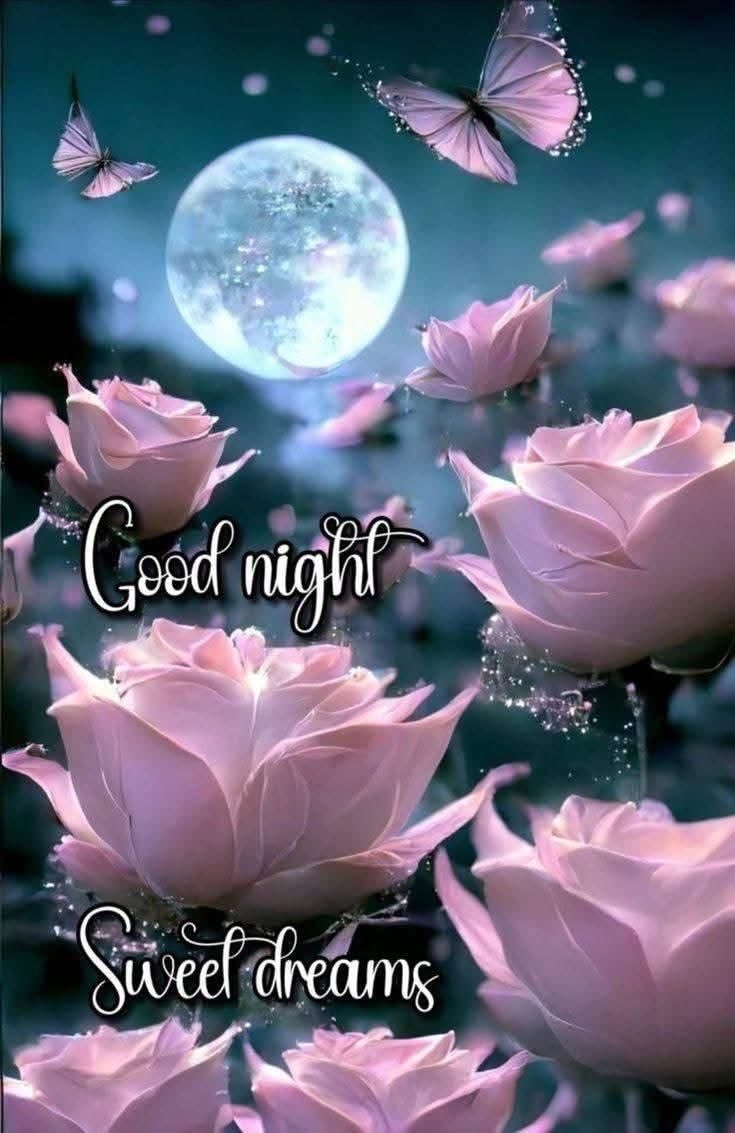 JamesWilli27770's tweet photo. Good Night everyone 🌸🌸🌙🌸🌙😴🌸🌸🌸 https://t.co/yKqqWrwpgX