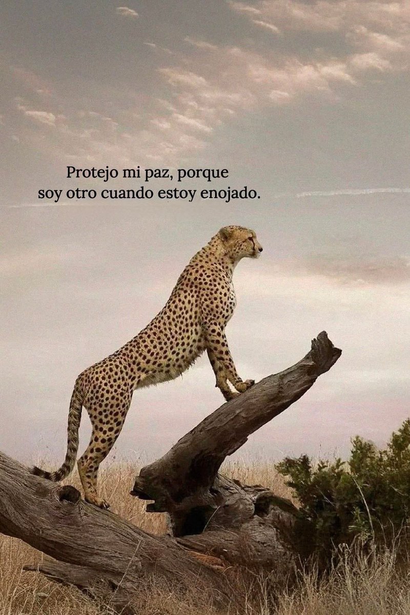 Disciplina (@eligedisciplina) on Twitter photo 