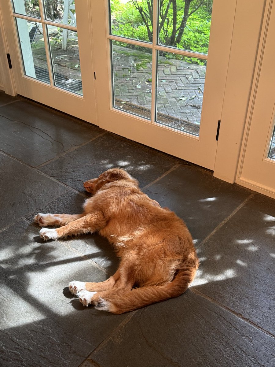 Augie (Shadow 🌈) tweet media