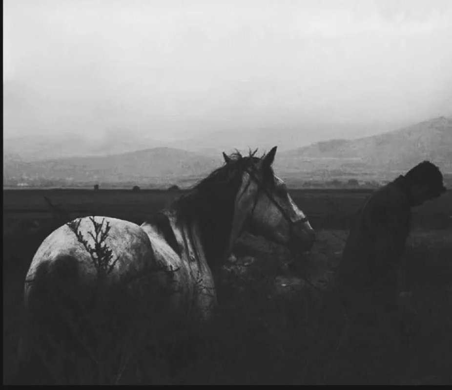 "Öyle bir zaman gelecek ki ;
Afiyetin onda dokuzu insanlardan kaçınmakla , kalan biri ise , susmakla olacak." 

Hz. Ali (r.a)