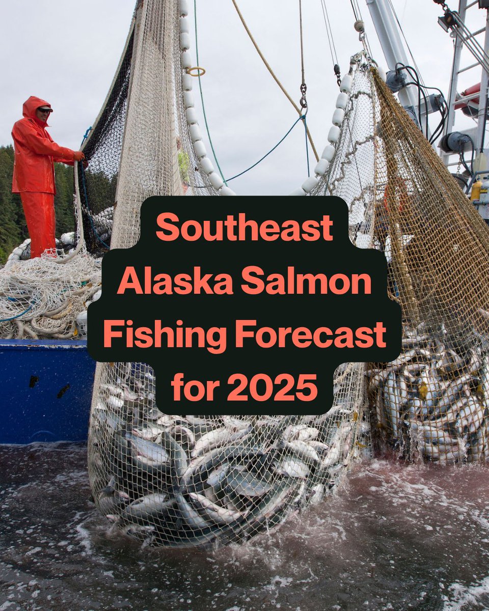 What to Expect from Southeast Alaska’s 2025 Salmon Fishery: Risks for B.C. Salmon

skeenawild.org/southeast-alas…