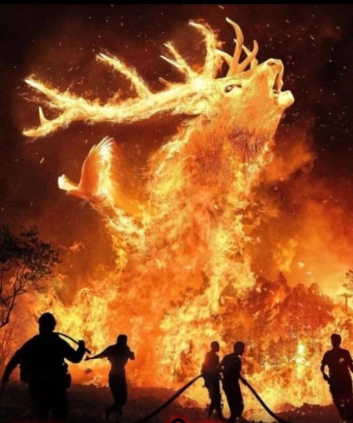 Yanan her orman, kaybolan milyonlarca can demek. 
Canımız yanıyor...
Memleket yanıyor
Buna sebep olanlarda yansın inşallah 🙏