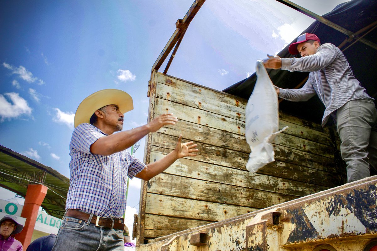 SDA Campeche (@sdacampeche) on Twitter photo Por instrucciones del titular <a href="/RamonGOchoaP/">Ramón Ochoa Peña</a>, el Director General de Fomento Agrícola, entregó bultos de fertilizante en beneficio de productores escarceguénes, siguiendo la visión de la Gobernadora <a href="/LaydaSansores/">Layda Sansores</a>, de garantizar que los apoyos lleguen a quienes más lo necesitan. Por instrucciones del titular <a href="/RamonGOchoaP/">Ramón Ochoa Peña</a>, el Director General de Fomento Agrícola, entregó bultos de fertilizante en beneficio de productores escarceguénes, siguiendo la visión de la Gobernadora <a href="/LaydaSansores/">Layda Sansores</a>, de garantizar que los apoyos lleguen a quienes más lo necesitan.