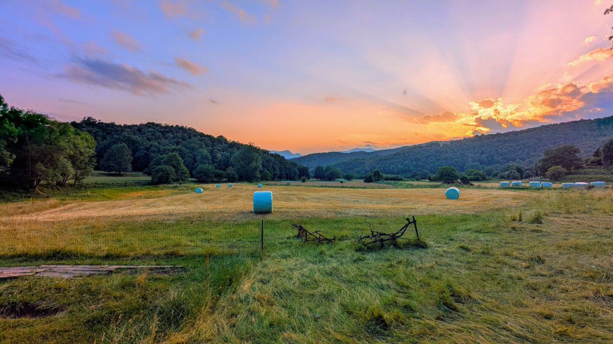 Lou Rectoret tweet media