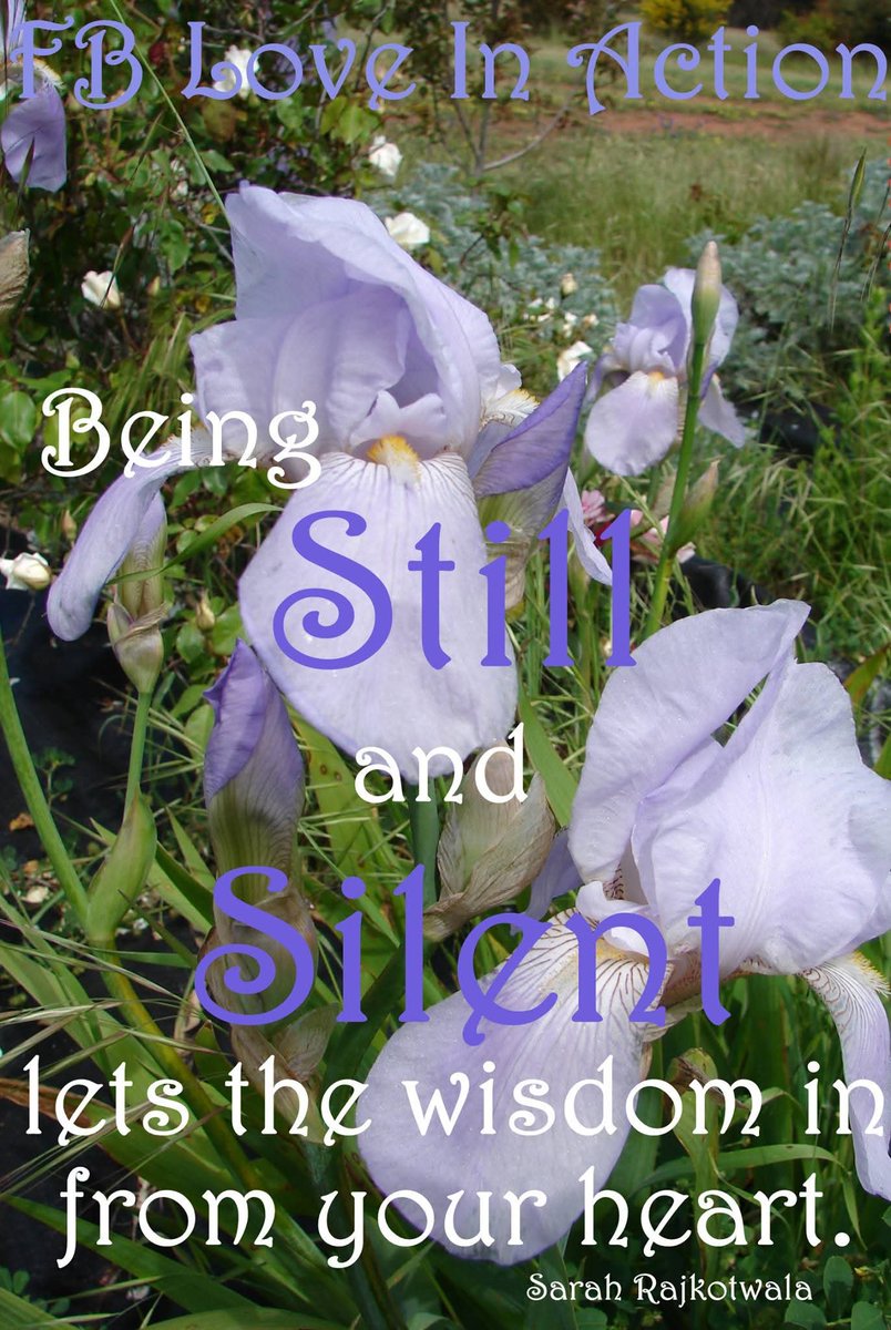 You are far wiser than you realize. 💜

#Motivation #Stillness #Silence #sarahrajkotwala #SpiritualGrowth

The Year of Talking to Plants 📚 books2read.com/u/brveYA

Fairy Sparkles books2read.com/u/3nvB2B
