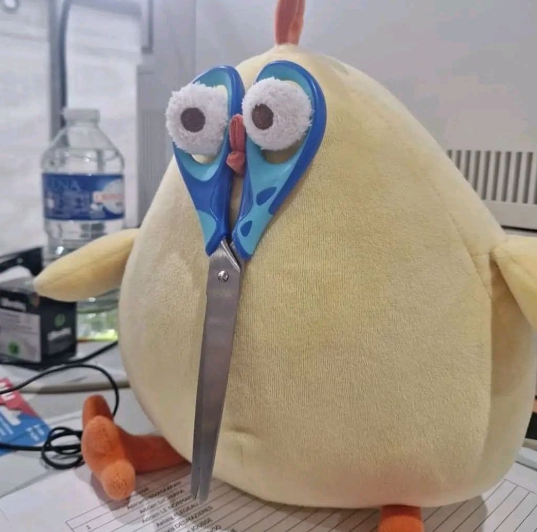 Yo haciendo de todo menos trabajar: