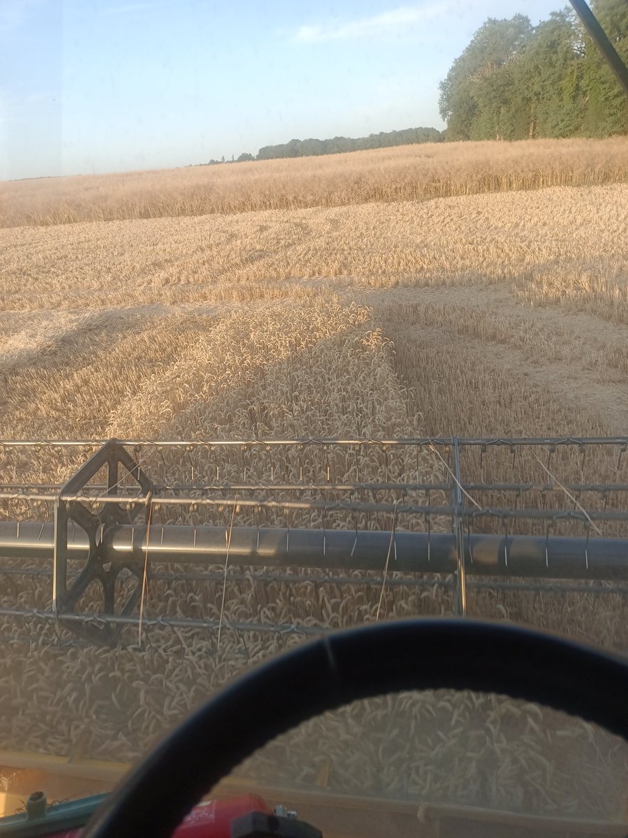 3 juillet blé c'est plié. La machine repasse chez les collègues. Il restera du colza qui peut attendre un peu de pluie pour remonter à 9 😅