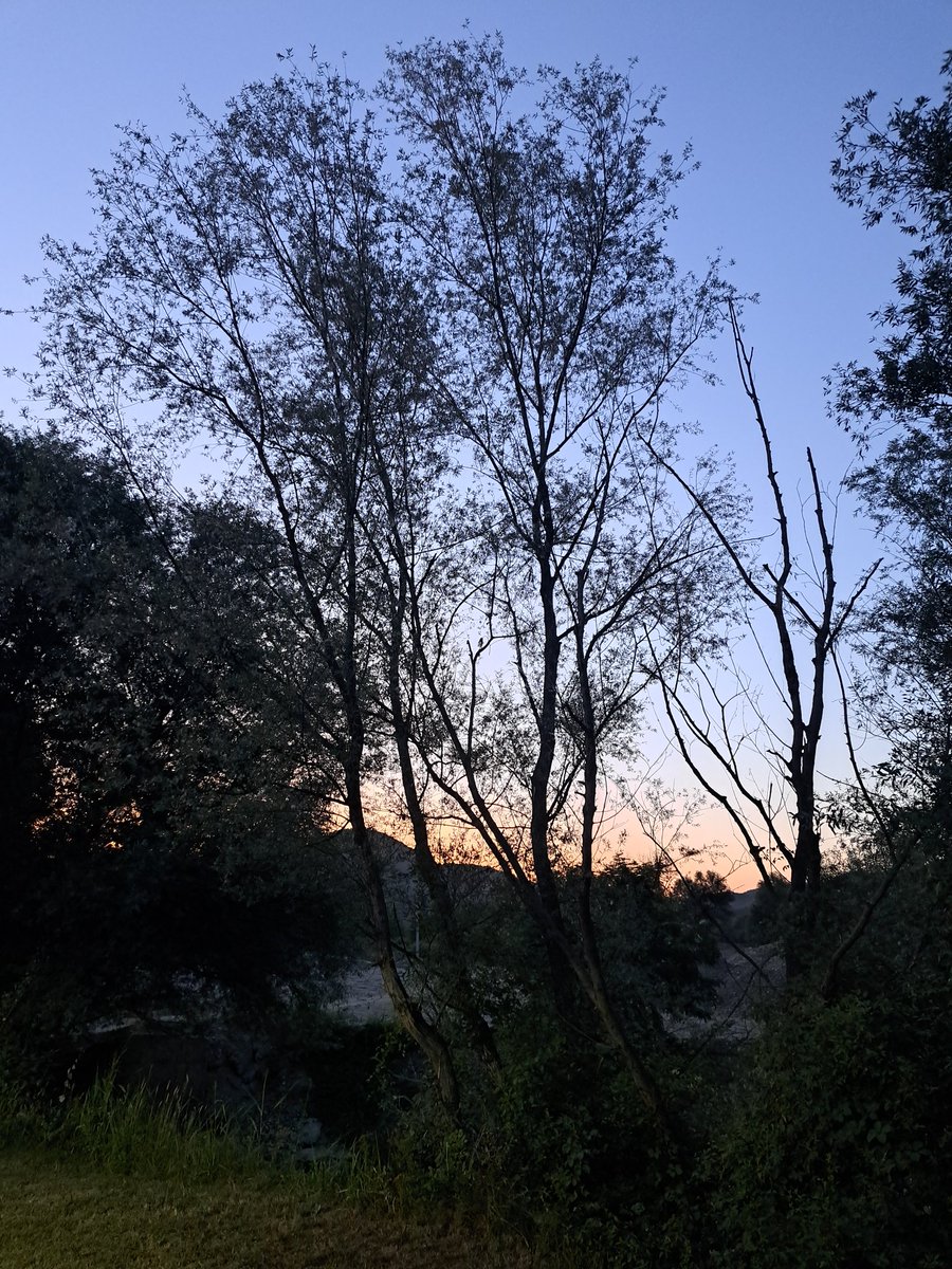 Icy (@icyart_) on Twitter photo Me and <a href="/ZVeilOfTime/">VeilOfTime</a> are going home tomorrow. It was great, but time flied too quickly. But then again, we will probably be back again this summer ☀️
#vacation
#river
#nature Me and <a href="/ZVeilOfTime/">VeilOfTime</a> are going home tomorrow. It was great, but time flied too quickly. But then again, we will probably be back again this summer ☀️
#vacation
#river
#nature