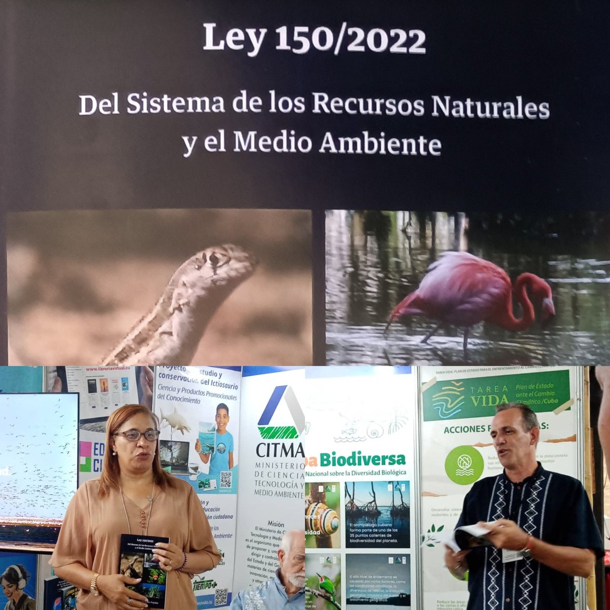 Ministerio de Ciencia, Tecnología y Medio Ambiente (@citmacuba) on Twitter photo En #XVConvencion sobre Medio Ambiente y Desarrollo, en #Cuba:
📖Dir gral Medio Ambiente @OGAmbiente y dir jurídico <a href="/daimarc/">Daimar Cánovas</a> de <a href="/citmacuba/">Ministerio de Ciencia, Tecnología y Medio Ambiente</a> presentan Ley 150/2022 Del Sistema de los Recursos Naturales y el Medio Ambiente en formato impreso, en colaboración con Editorial CITMATEL En #XVConvencion sobre Medio Ambiente y Desarrollo, en #Cuba:
📖Dir gral Medio Ambiente @OGAmbiente y dir jurídico <a href="/daimarc/">Daimar Cánovas</a> de <a href="/citmacuba/">Ministerio de Ciencia, Tecnología y Medio Ambiente</a> presentan Ley 150/2022 Del Sistema de los Recursos Naturales y el Medio Ambiente en formato impreso, en colaboración con Editorial CITMATEL