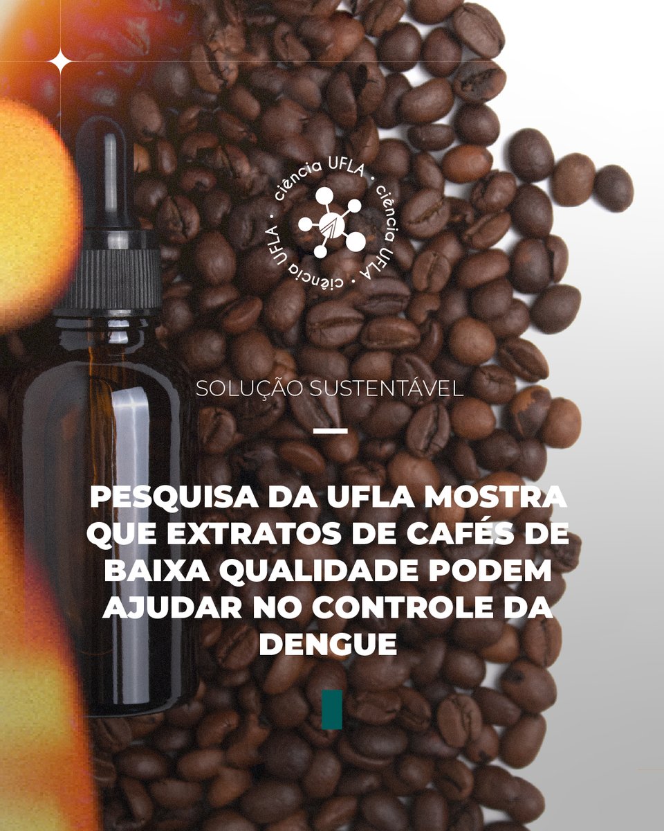 uflabr's tweet photo. #CiênciaUFLA | Uma pesquisa da UFLA mostrou que extratos de #café de baixa qualidade podem ser uma solução eficaz, natural e sustentável para eliminar as larvas do mosquito #AedesAegypti, transmissor da dengue, zika e chikungunya.

🔍 Saiba mais:  https://t.co/3cLXuedRi7 https://t.co/NuCbK1Yw1T