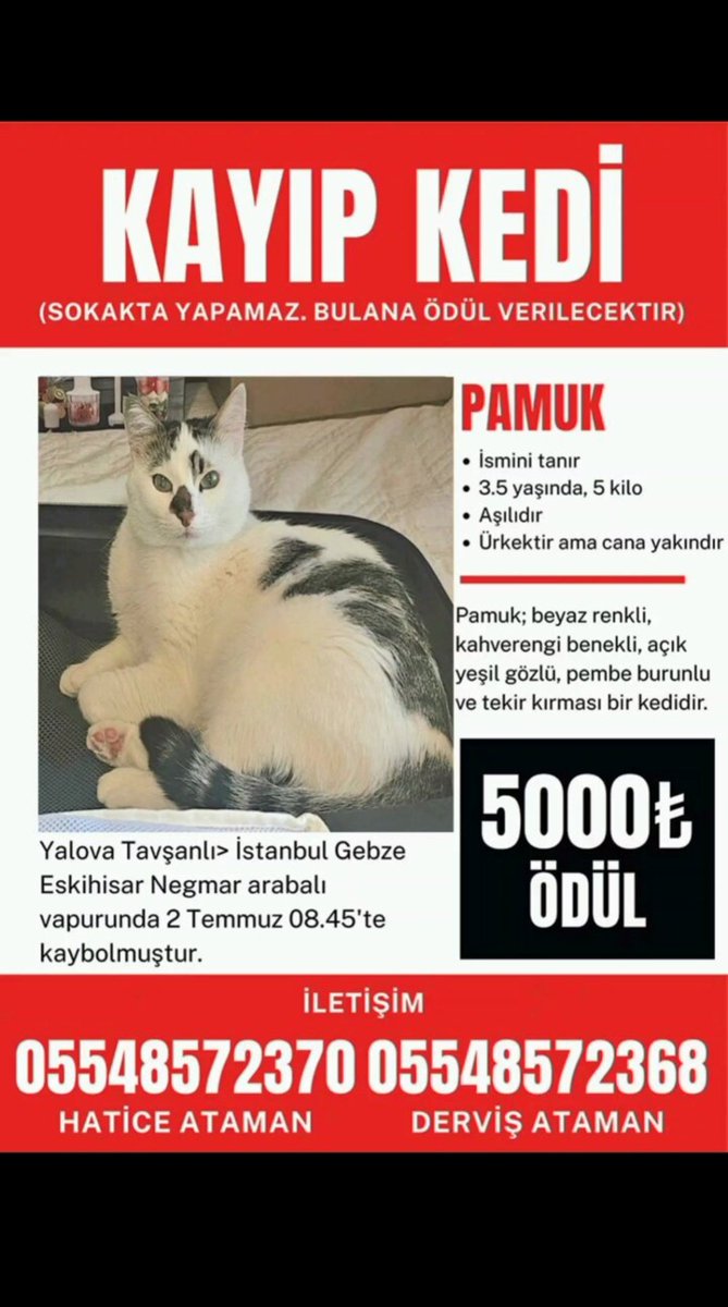 Kayıp acil.
Arabalı vapurda araba içindekiler uyuyakalınca çocuk açık pencereden kaçmış. Geri dönen vapurda da bulunamamış. Bir umut bir yerlerdeyse ve iyiyse aranıyor.

Kaybolduğu güzergah; 
Yalova Tavşanlı-İstanbul Gebze Eskihisar Negmar arabalı vapuru.

İletişim: 0554 857 2368
