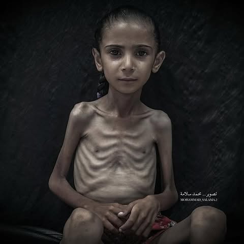 TIMES OF GAZA tweet media