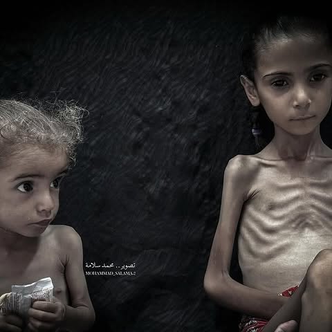 TIMES OF GAZA tweet media