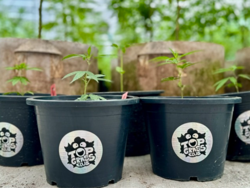 Charles1Eniola's tweet photo. Everyone's chasing hype. I'm planting patience.
TopGrass isn’t just a coin it’s a mission.
$TGRASS is for the ones who see beyond the pump.
Real builders. Real roots. Real future. 🌱
@TopGrassClub #TGRASS #Web https://t.co/pvOinu9pVS