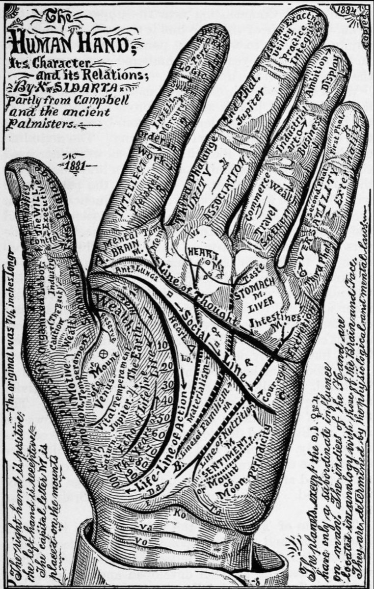 Arithmancism's tweet photo. "I've got whole world in my hands, i've got the whole world in my 🙌s."
-
#Paths:64:19-71:26
#Hands:46:19-89:26
#LifeChart:82:46-161:53
#PalmsArt:100:28-116:53
#TheSoul:100:28-89:34
#Palmists:109:28-107:53
#MapOfStar:109:37-134:53
#LifesMaps:100:37-143:53
#ActionSeer:109:46-161:62
#ReadingPalm:100:55-197:62
#GuidedChart:100:55-197:62
#LifesReading:109:64-215:71
#FreeWills:109:46-134:53
#SoulsFate:118:28-125:53
#LivingPath:118:55-152:53
Don't sleep on your palmistry.
-
#Palm:⁴²:¹⁵-⁶⁶:²¹ #Self:⁴²:¹⁵-⁶⁶:²¹
Your palm is a living representation; the living moment to moment hand "print" that changes based on the actions you take in life, a live action portayal of the paths you take in this life, your very own micro map to your galactic macro layout. 🙌🌌
You may live up to your fate but you can always change your destiny. 🗺
-
Also, your hand placement is crucially underlooked when you share honor to life/god/creator, or ancestors/guardians/guides. 🙏
Thumb = Will Power; of which i'll create a channeling canal against my Nose Ridge up to my 3rd Eye and Crown, a Hand Conductor.