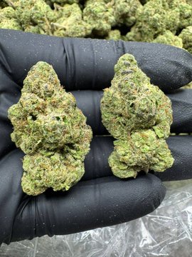 RakesZaza's tweet photo. Serving ⛽️ weed Detroit weed Flint weed Livonia Weed Troy Weed Pontiac weed Lansing Weed Grand Rapids Weed Warren weed Dearborn Weed Westland Weed Farmington Hills Weed Ann Arbor #diogojota https://t.co/c4UqFt4Lrn