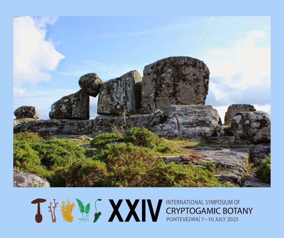 XXIV International Symposium of Cryptogamic Botany tweet media