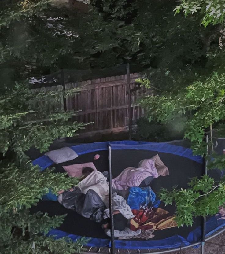 MythoAmerica 🌲 (@mythoamerica) on Twitter photo 