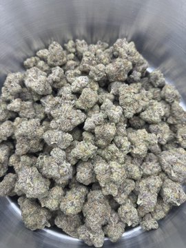 RakesZaza's tweet photo. Serving ⛽️ weed Detroit weed Flint weed Livonia Weed Troy Weed Pontiac weed Lansing Weed Grand Rapids Weed Warren weed Dearborn Weed Westland Weed Farmington Hills Weed Ann Arbor #INDvsENG #Michigan https://t.co/7KiZjQ2P6R