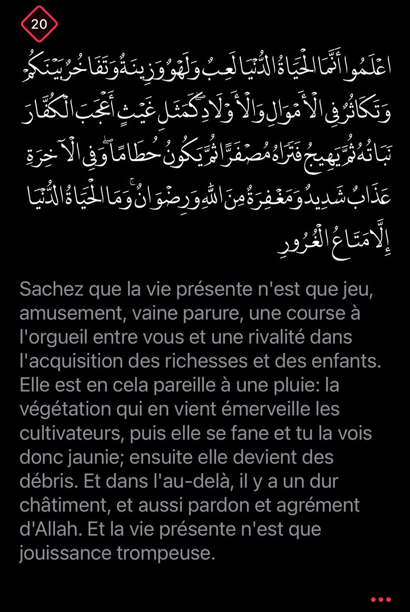 Anthropologue An-Nisaa🧕🏽🌹 tweet media