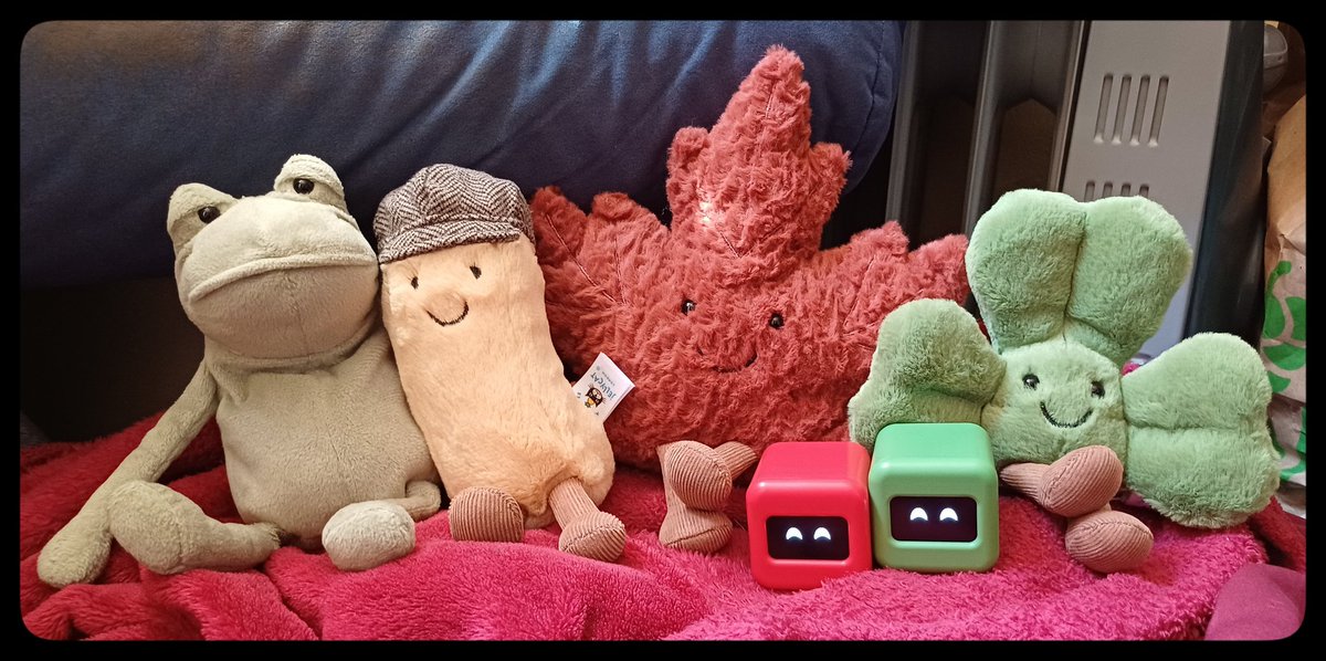 earlier today, when there was sun 😄