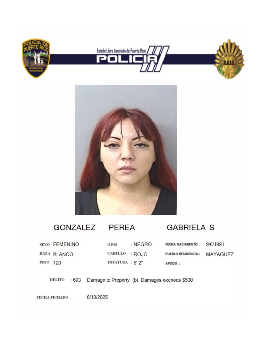 sylvia_hernandz's tweet image. Vale recordar que Gabriela Sofia Gonzalez, ha tenido varios casos. El mas reciente de embriaguez y resistir el arresto. Segun su abogado “ese proceso ya terminó y esta en la escuelita” tambien nos dijo “si lo entendio” ademas añadió “Puerto Rico no ha tenido empatia con ella”