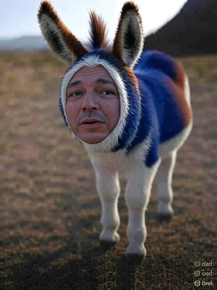 COMBATWEATHER's tweet image. 🇺🇸2 REP JACKASSES VOTE NAY🇺🇸

🇺🇸🇺🇸MASSIE &amp;amp; FITZPATRICK🇺🇸🇺🇸

IF YOU AGREE THAT THEY ARE JACKASSES PLEASE… 
🇺🇸🇺🇸FOLLOW REPOST &amp;amp;❤️🇺🇸🇺🇸

#TomahMassey #BrianFitzpatrick #Trump #2Republicans #Nay #Congress #BBB #BigBeautifulBill 
#FAFO #Meme #FunnyMeme #PoliticalMeme #MAGA #ItPassed