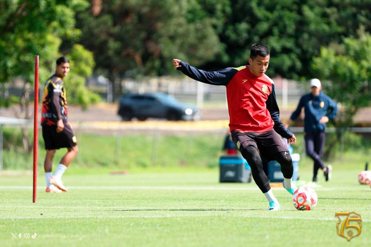 Omar 🫵

#DelCanarioSoy