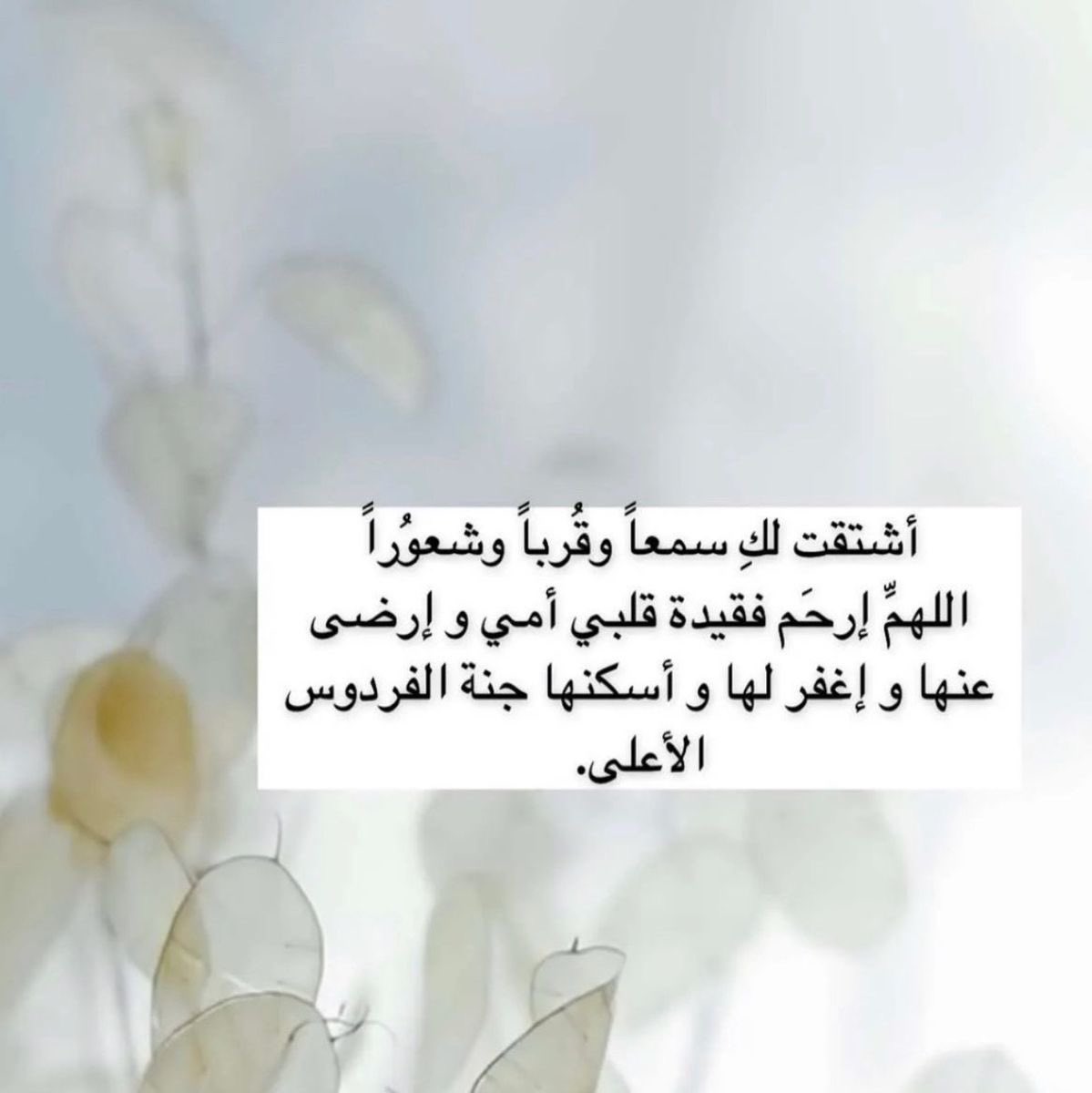 Wadhals2's tweet photo. #ساره_خالد_السبيعي https://t.co/e5lEGxCOxR