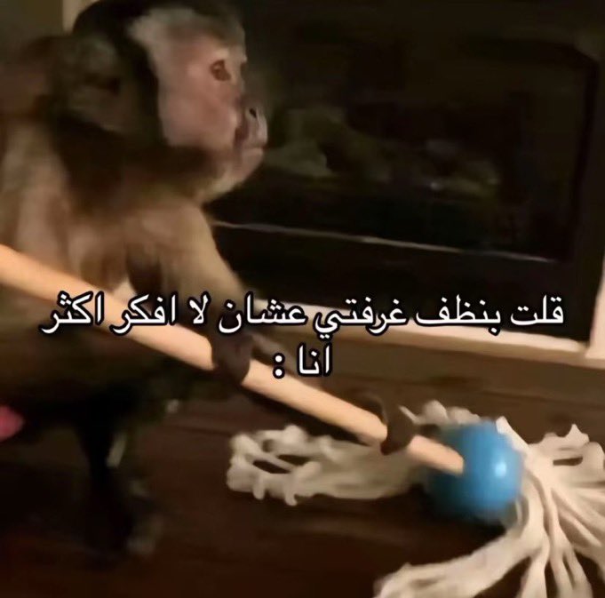 ِ (@euecz) on Twitter photo 