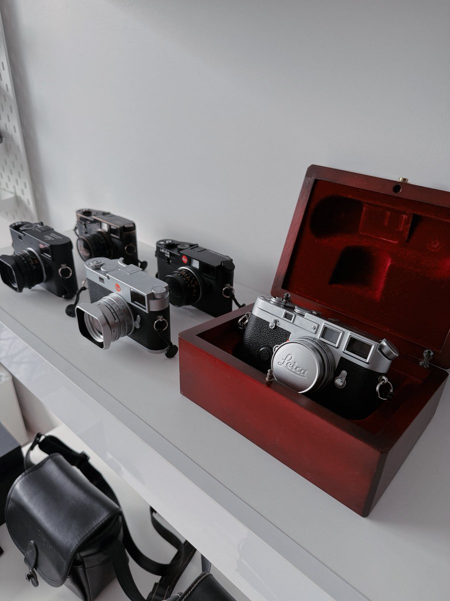 Ilya · イリア tweet media