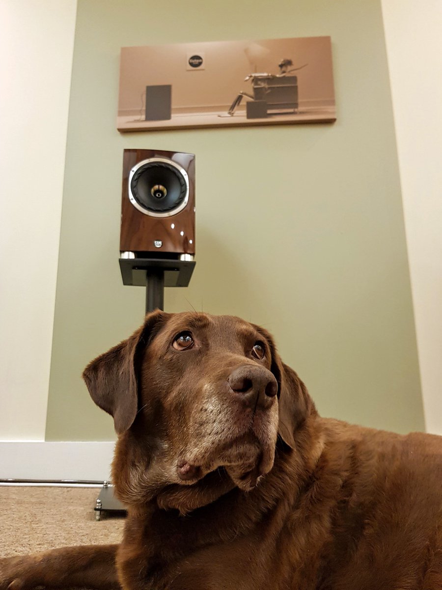OriginalShrews's tweet image. 🤩 Next up for Indie Week is Listen Audio, a dream 30 years in the making.
Founder Steve has lifelong passion for hi-fi - from teenage enthusiasm to years in the industry, and finally opening his own specialist shop in #Shrewsbury in 2020.
📍 9 Dogpole
originalshrewsbury.co.uk/business-direc…
