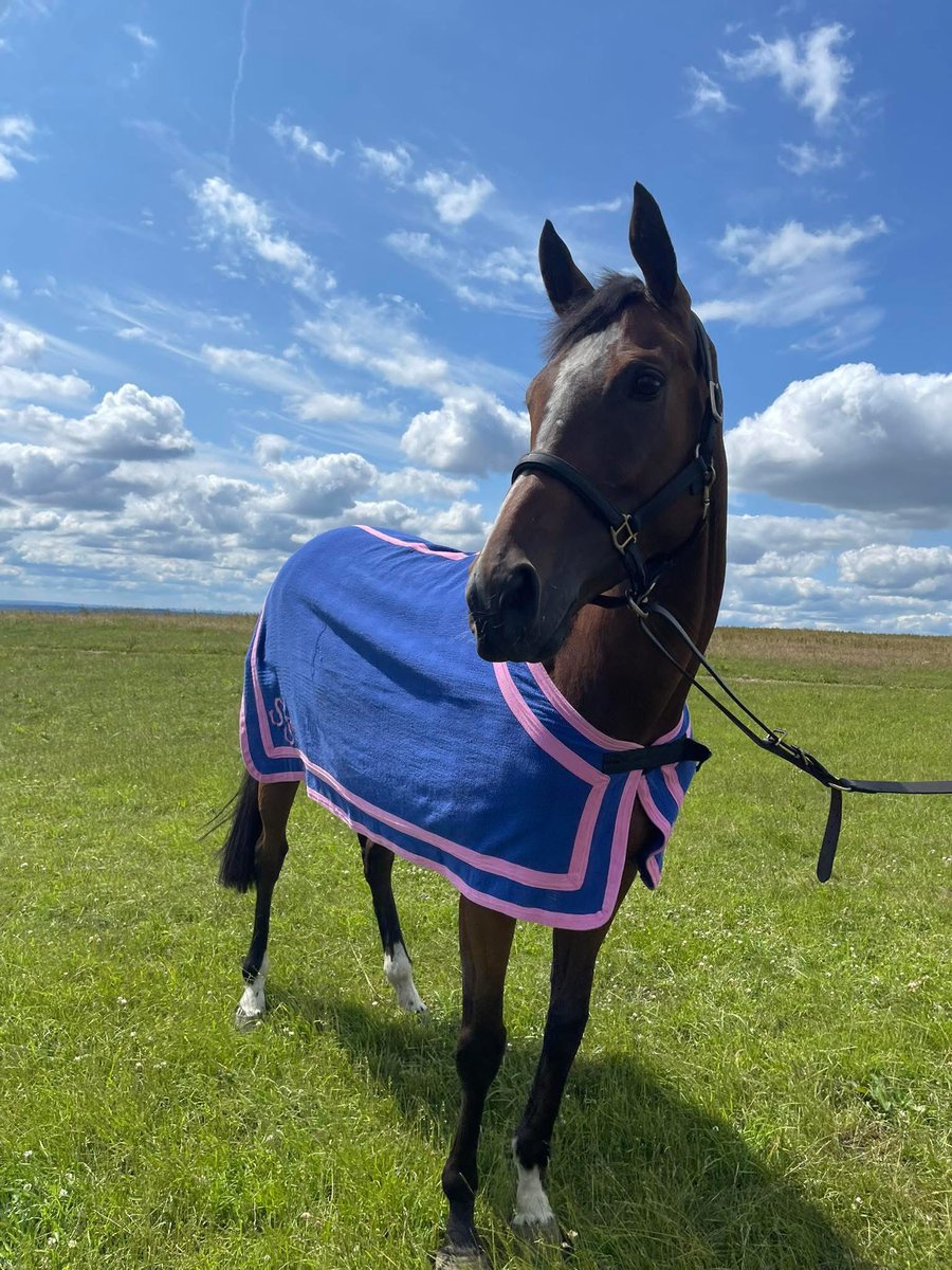 J Parkinson & S Smith Racing π (@jpandssracing) on Twitter photo We have one runner tomorrow at <a href="/BangorRaces/">bangorraces</a>
Wudya makes her stable debut with us in the 7:40 2m3f to be ridden by Peter Kavanagh π
Best of luck to all the team and connections β We have one runner tomorrow at <a href="/BangorRaces/">bangorraces</a>
Wudya makes her stable debut with us in the 7:40 2m3f to be ridden by Peter Kavanagh π
Best of luck to all the team and connections β