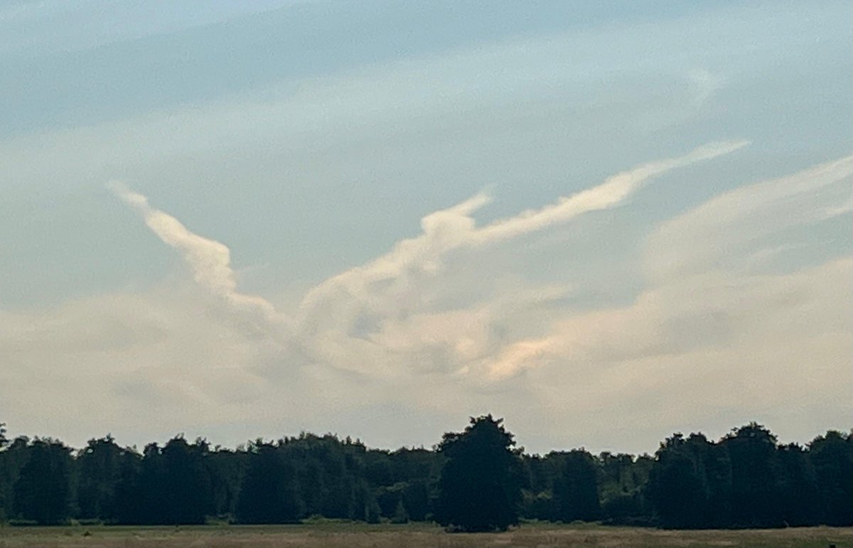 Ronald van Zijl (@ronaldvanzijl) on Twitter photo 03/07/2025 โ NL โ Skyscapes
19:00 h
<a href="/Demo2020cracy/">Anti Lockdown Alliance(GLOBAL)</a> <a href="/Elizabe32413720/">Elizabeth Farrell</a> <a href="/Raggedyedge1/">Raggedyedge</a> <a href="/DELTA9_DELTA9/">DELTA 9</a> <a href="/BenKnight1980/">Ben Skywatcher ๐ด๓ ง๓ ข๓ ฅ๓ ฎ๓ ง๓ ฟ</a> <a href="/druid10/">Lin Cork</a> <a href="/IonisedSkyWatch/">Alex Meechan</a> <a href="/Reptoid_Hunter/">777 Watchman</a> <a href="/Clearskiesinit/">Clear Skies Initiative</a> <a href="/SaskiaHeijden/">Saskia ๐๐ผโโ๏ธ Het wolken vrouwtje โ๏ธ</a> <a href="/ImagesCoast/">Atlantic Coast Images</a> <a href="/OpChemtrails/">OpChemtrails</a> <a href="/Chemtrail101/">Chemtrailcity</a> <a href="/SergeLBrown/">Serge vs Goliath</a> <a href="/LegendreKristy/">Kristy Legendre</a> 03/07/2025 โ NL โ Skyscapes
19:00 h
<a href="/Demo2020cracy/">Anti Lockdown Alliance(GLOBAL)</a> <a href="/Elizabe32413720/">Elizabeth Farrell</a> <a href="/Raggedyedge1/">Raggedyedge</a> <a href="/DELTA9_DELTA9/">DELTA 9</a> <a href="/BenKnight1980/">Ben Skywatcher ๐ด๓ ง๓ ข๓ ฅ๓ ฎ๓ ง๓ ฟ</a> <a href="/druid10/">Lin Cork</a> <a href="/IonisedSkyWatch/">Alex Meechan</a> <a href="/Reptoid_Hunter/">777 Watchman</a> <a href="/Clearskiesinit/">Clear Skies Initiative</a> <a href="/SaskiaHeijden/">Saskia ๐๐ผโโ๏ธ Het wolken vrouwtje โ๏ธ</a> <a href="/ImagesCoast/">Atlantic Coast Images</a> <a href="/OpChemtrails/">OpChemtrails</a> <a href="/Chemtrail101/">Chemtrailcity</a> <a href="/SergeLBrown/">Serge vs Goliath</a> <a href="/LegendreKristy/">Kristy Legendre</a>