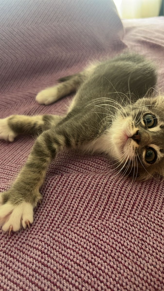 Que tiene calcetines y corbata 🥹🥹