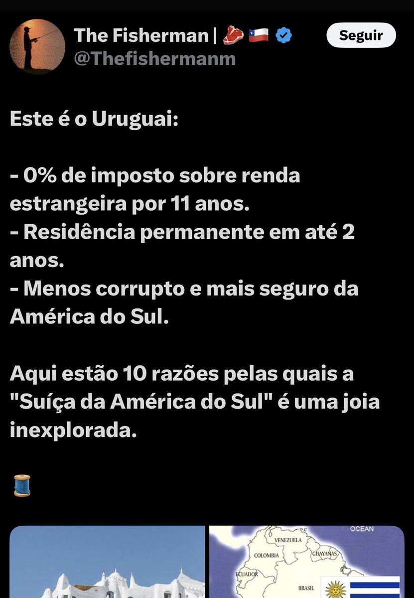 Magic Animals ✨ tweet media