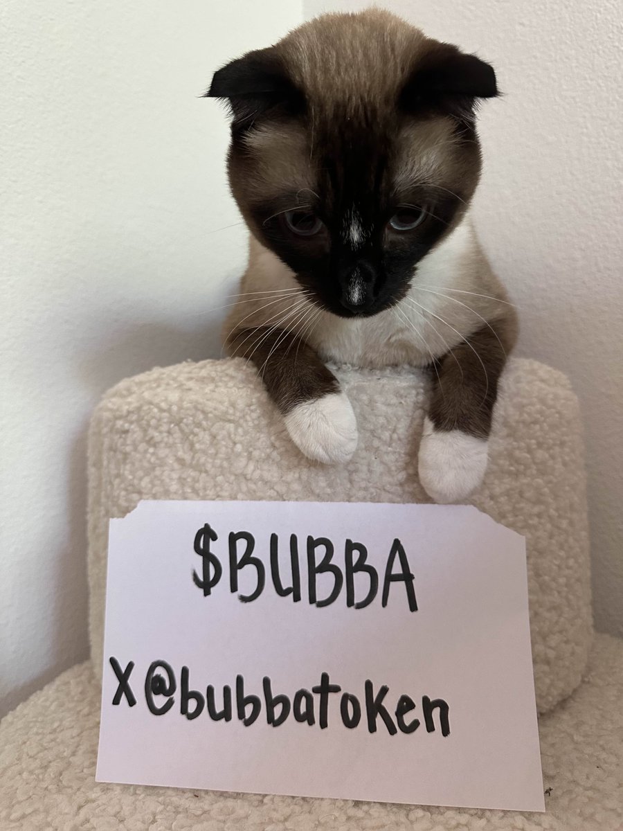 bubbatoken's tweet image. $BUBBA is live ❤️

Whitepaper will be shared in 15 minutes!

CA: E3scURyunt1mxWezzQr1B9iQ1YySxGutpH8f9VrkhBLV