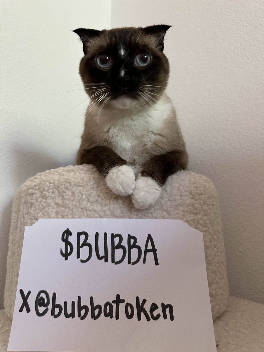 bubbatoken's tweet image. $BUBBA is live ❤️

Whitepaper will be shared in 15 minutes!

CA: E3scURyunt1mxWezzQr1B9iQ1YySxGutpH8f9VrkhBLV