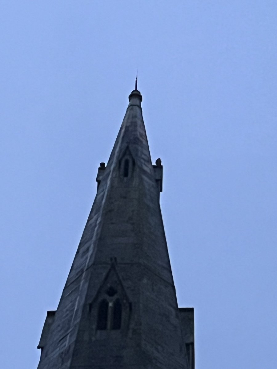 Another lovely walk this evening ending with the bonus of seeing the #Peregrine #Falcon on All Saints Church.